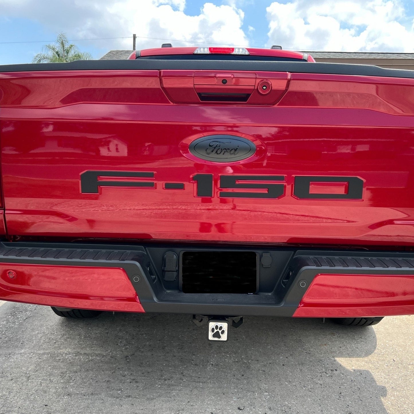 2015-2023 F150 Full Coverage Emblem Overlay DECALS Compatible with Ford | Grille & Tailgate Set