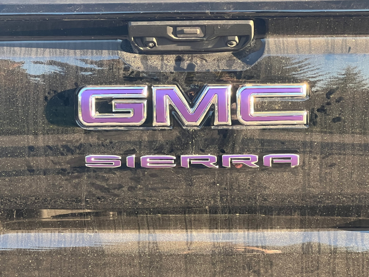 2019-2026 SIERRA Badge Emblem Overlay DECAL Letters Compatible With GMC Sierra