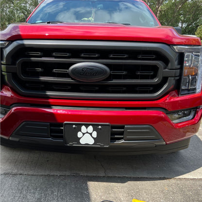 2015-2023 F150 Full Coverage Emblem Overlay DECALS Compatible with Ford | Grille & Tailgate Set