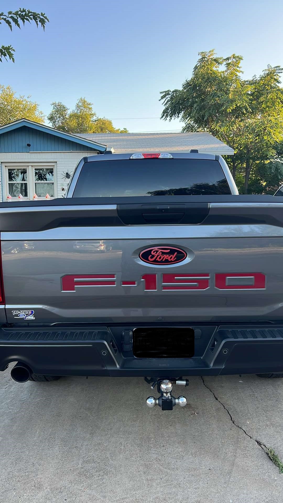 2024 f150 emblem overlay decal