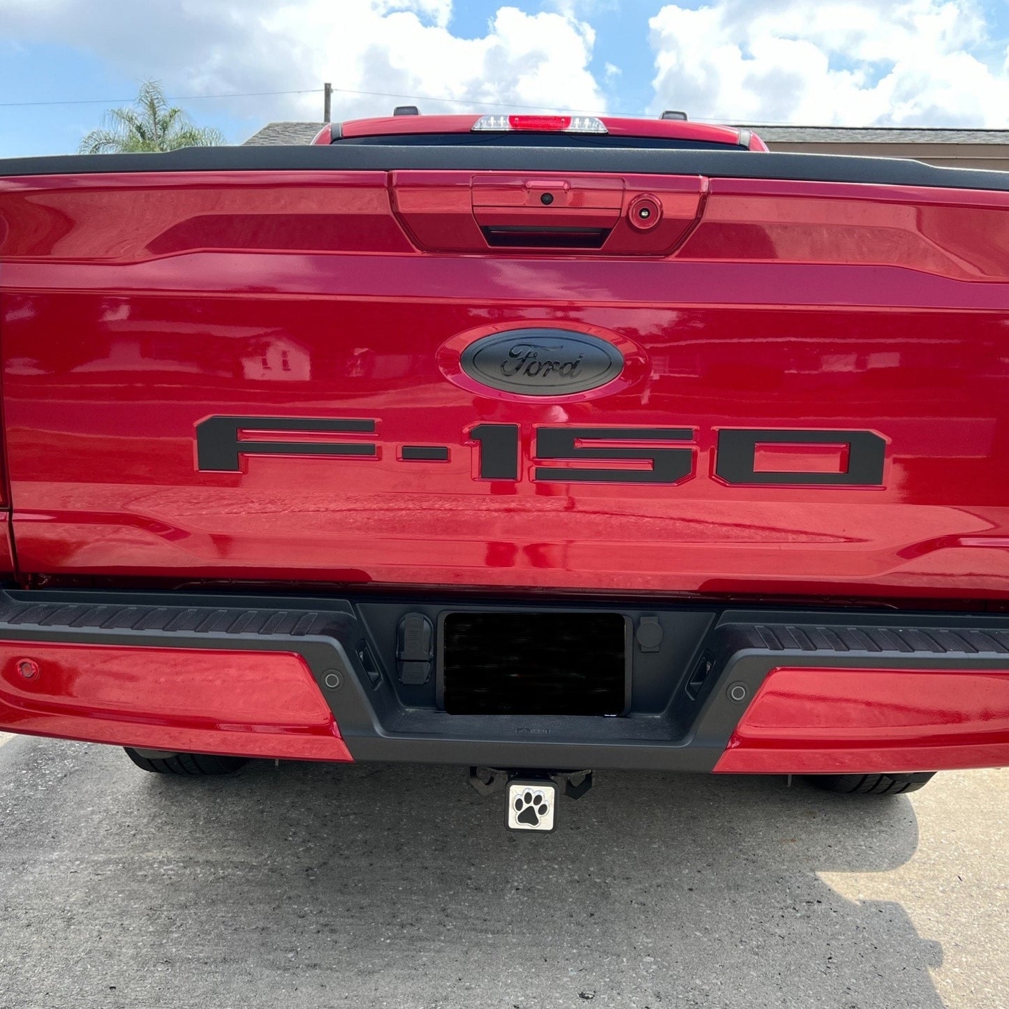 2015-2023 F150 Full Coverage BLACKOUT Emblem Overlay DECALS Compatible with Ford F-150 | Front & Rear Set