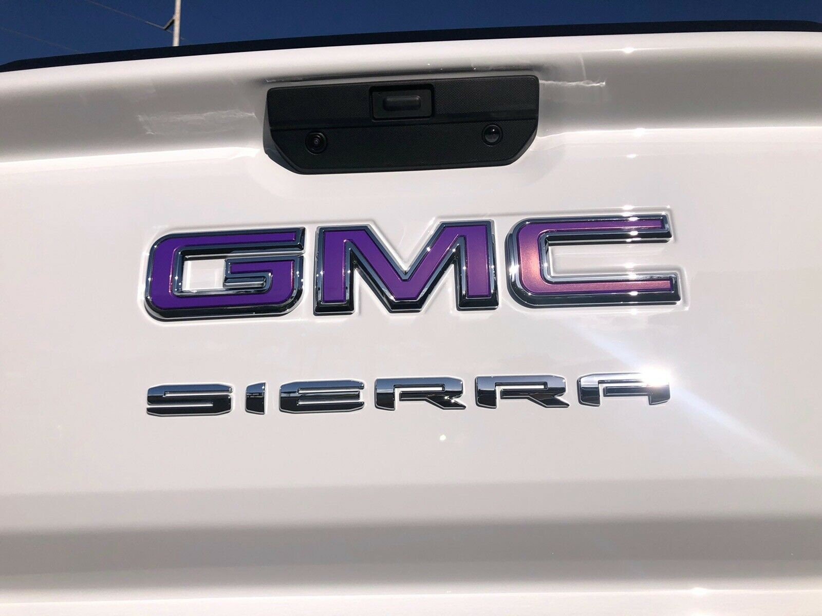 2019 2020 2021 2022 2023 2024 Sierra 1500 Precut Emblem Overlay DECALS  Compatible With GMC Sierra 1500 | Front & Rear Set